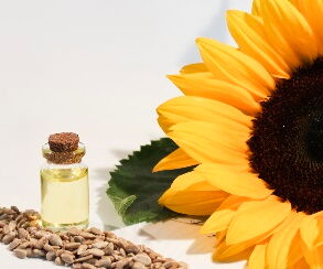Sonnenblumen Öle