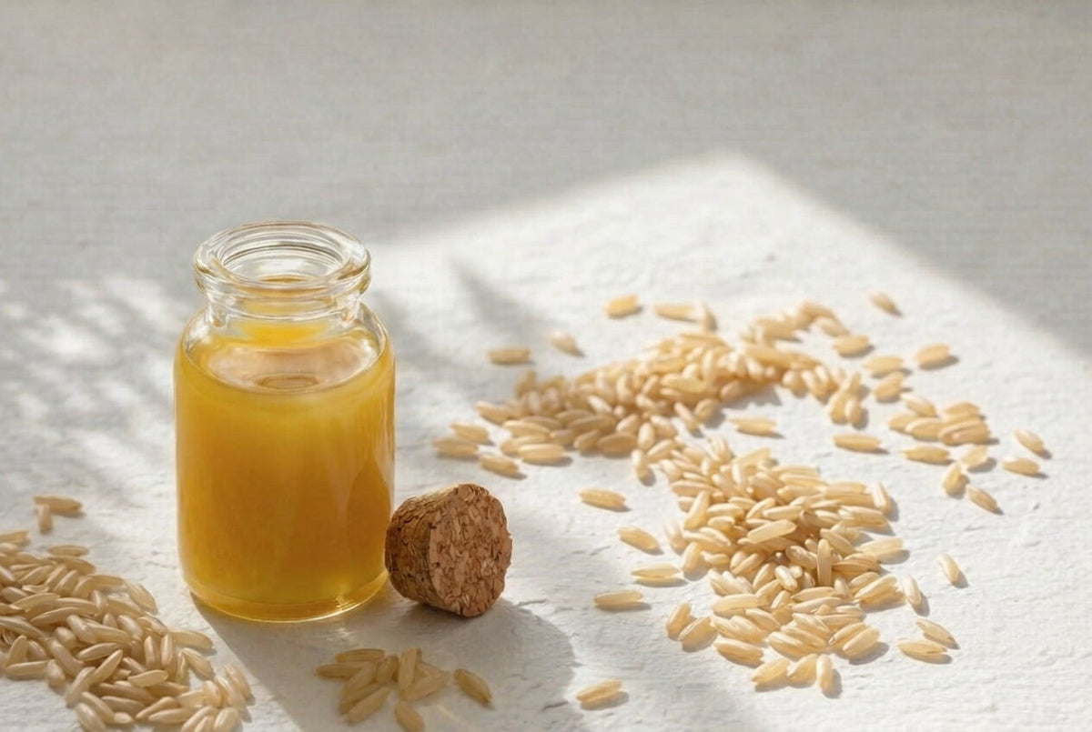 Bocal d’extrait de son de riz jaune doré à côté de grains de riz au soleil