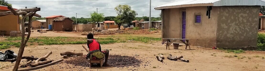 Village en Côte d’Ivoire, des noix de karité sèchent sur le sol devant des maisons en terre