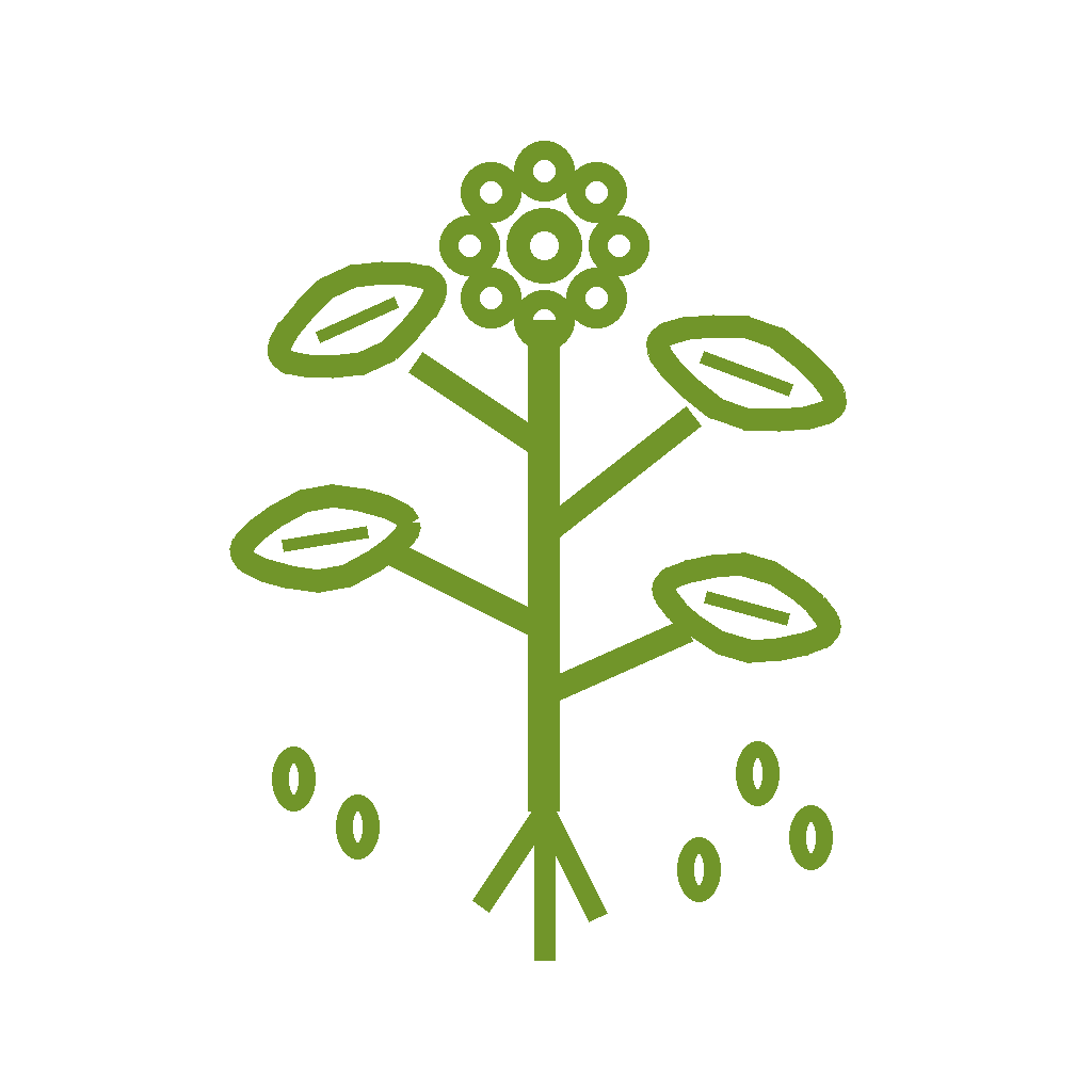 Plant-based raw materials for macerates