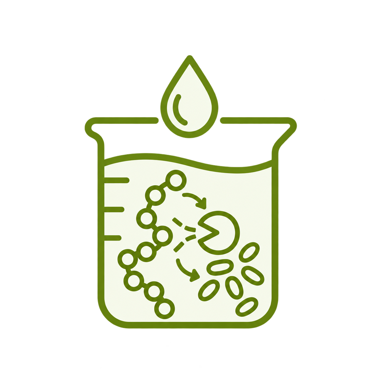 Enzymatic hydrolysis of plant proteins