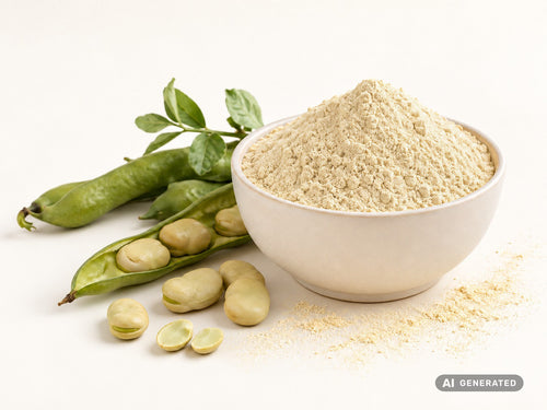 Concentrato di proteina di fava, bio – polvere giallo chiaro in ciotola bianca con fave e baccelli