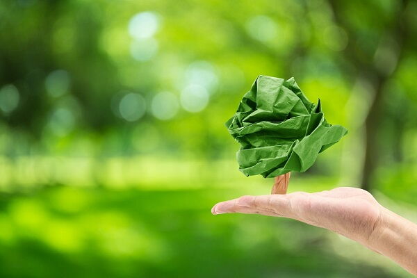 Plant-based raw materials from AOT
