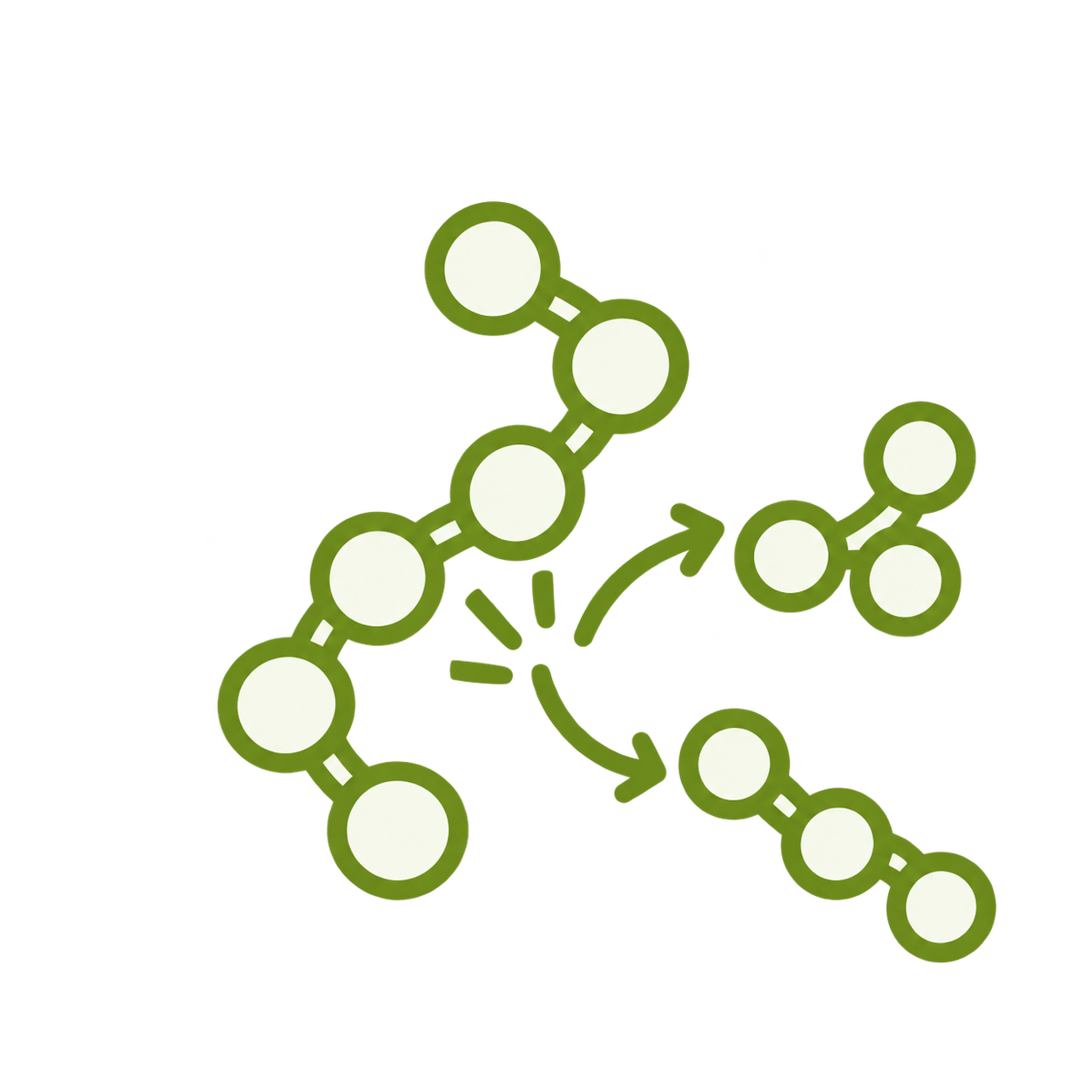 Breakdown of protein chains into smaller peptides